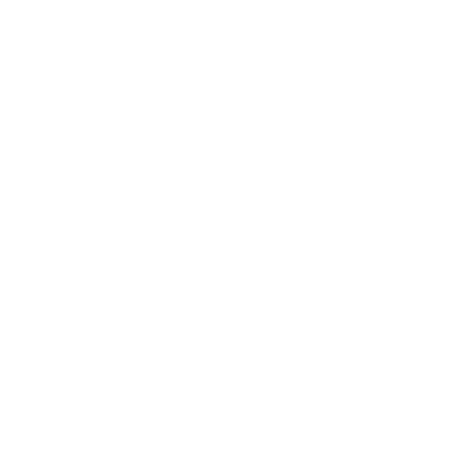 Plumitif Empowerment Academy Logo